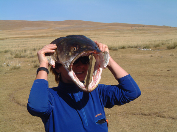 mongolia056