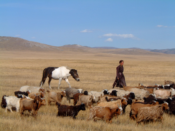 mongolia066