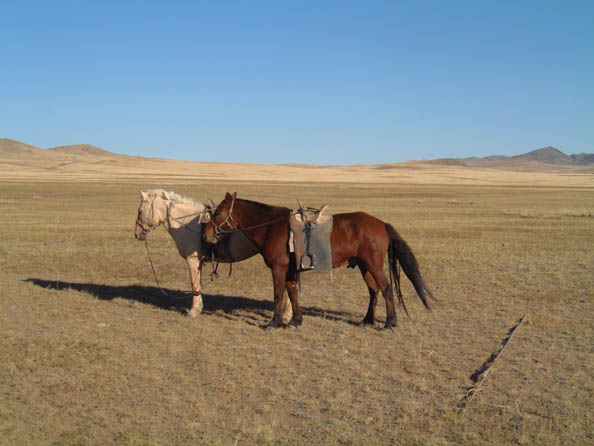 mongolia392