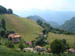 Dasio