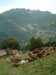 Morterone e Resegone dalla Culmine