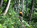 Nel bosco da Casima a Muggio