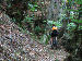 Nel bosco da Casima a Muggio
