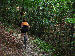 Nel bosco da Casima a Muggio