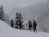 Salita nei boschi sopra Arnoga