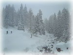 Nevicata in Val Bedretto