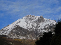 ingrandisci l'immagine