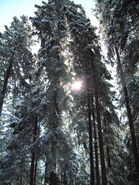 DSCF7473