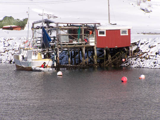 tromso058