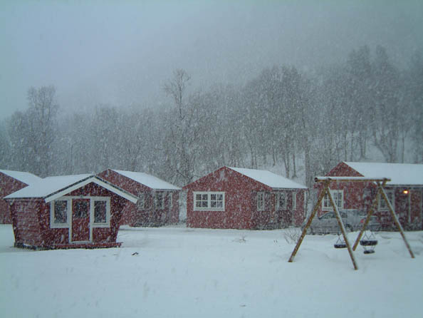 tromso137