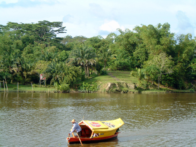 borneo003