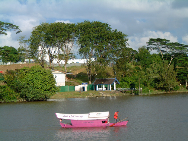 borneo004