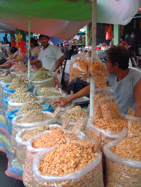 borneo013