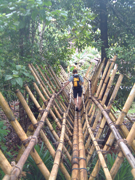 borneo014