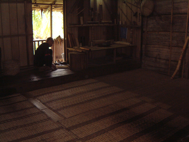 borneo016