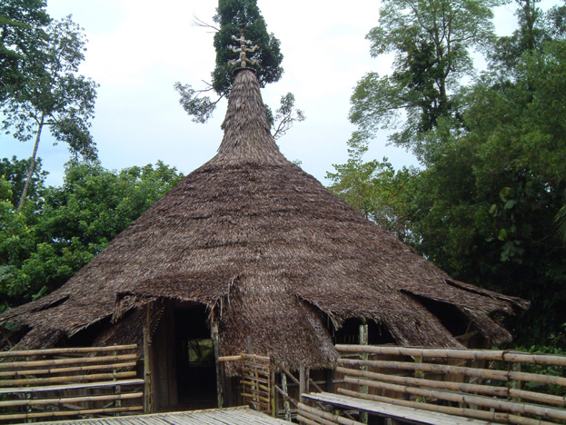 borneo017