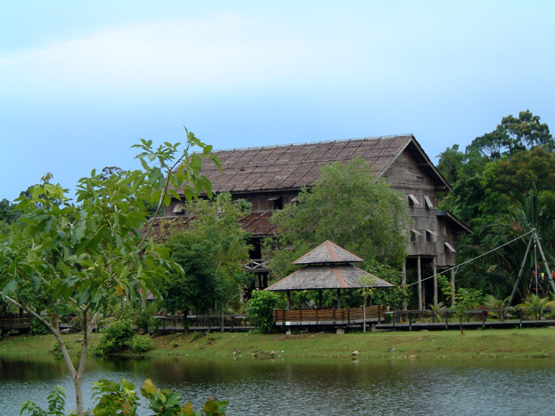 borneo020