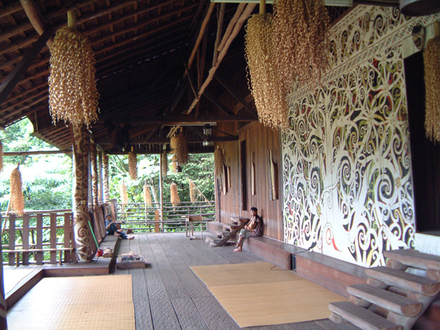borneo023