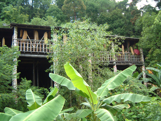 borneo025