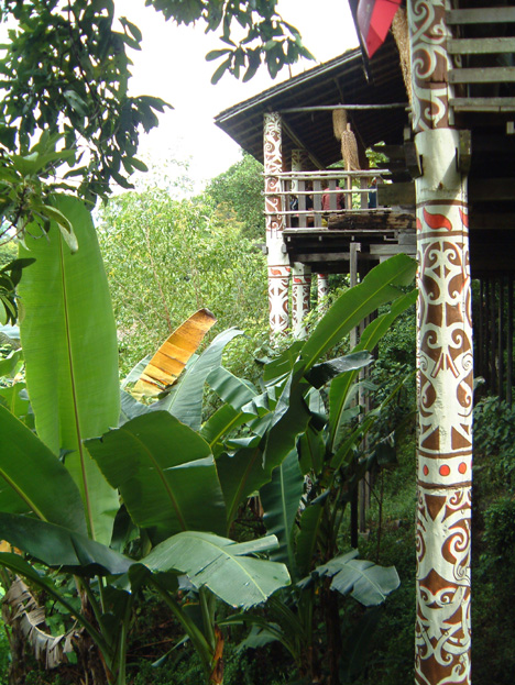 borneo026