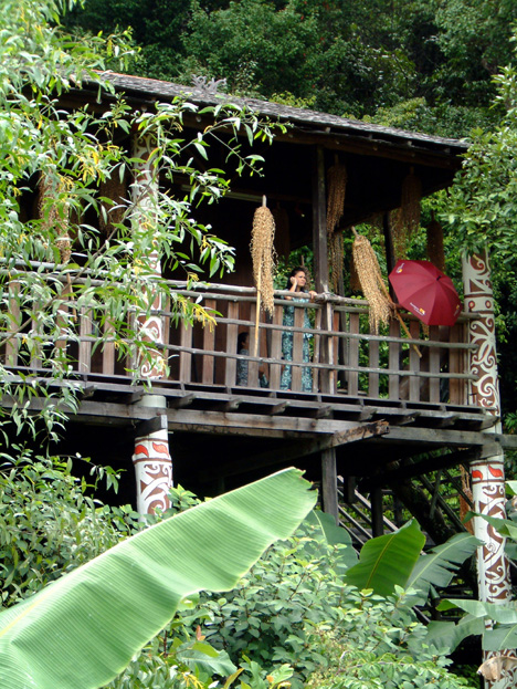 borneo027