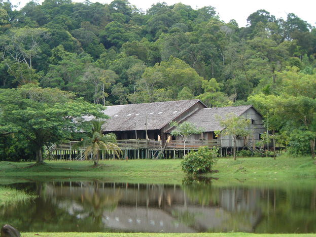 borneo028