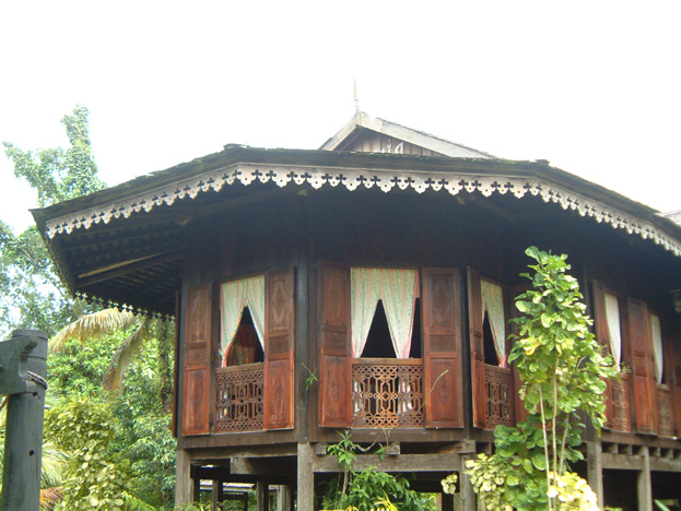 borneo031