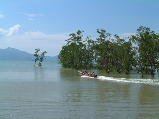 borneo034d