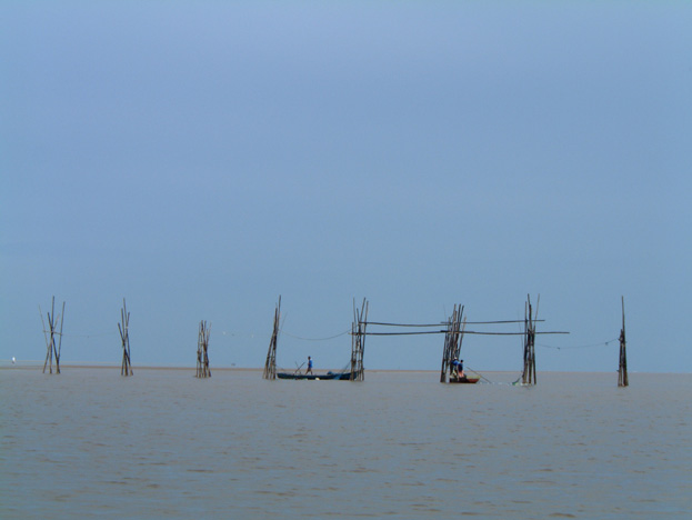 borneo035