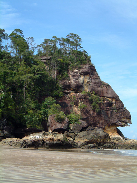borneo036