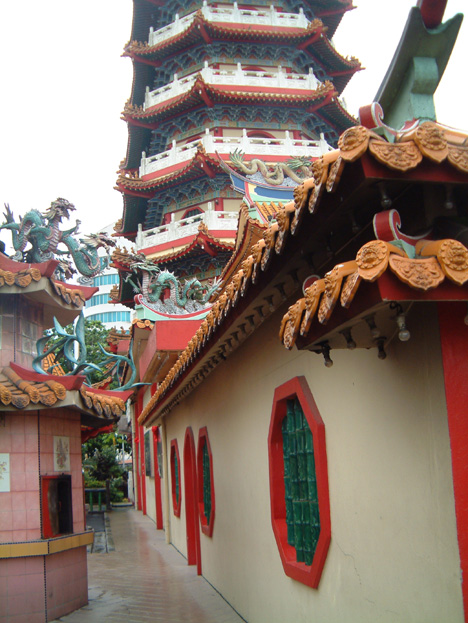 borneo047