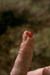 greenland10