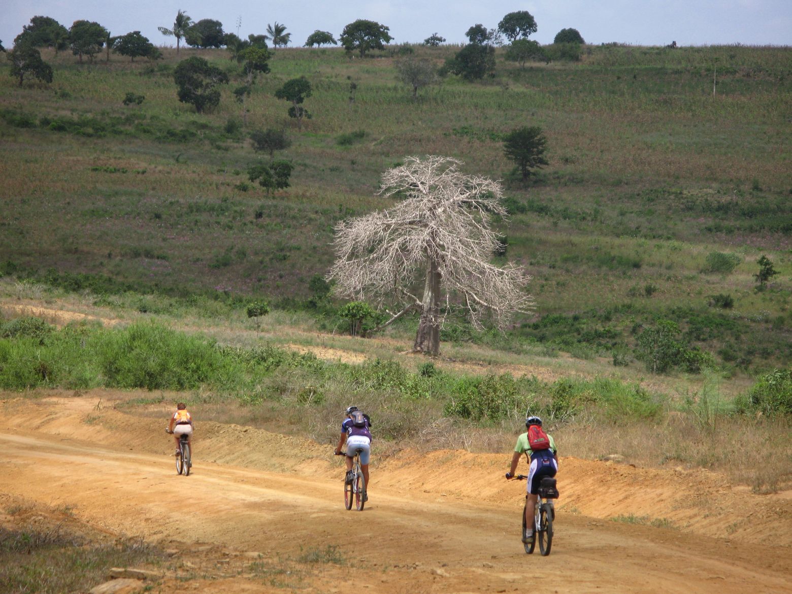 Clicca per ingrandire l'immagine
