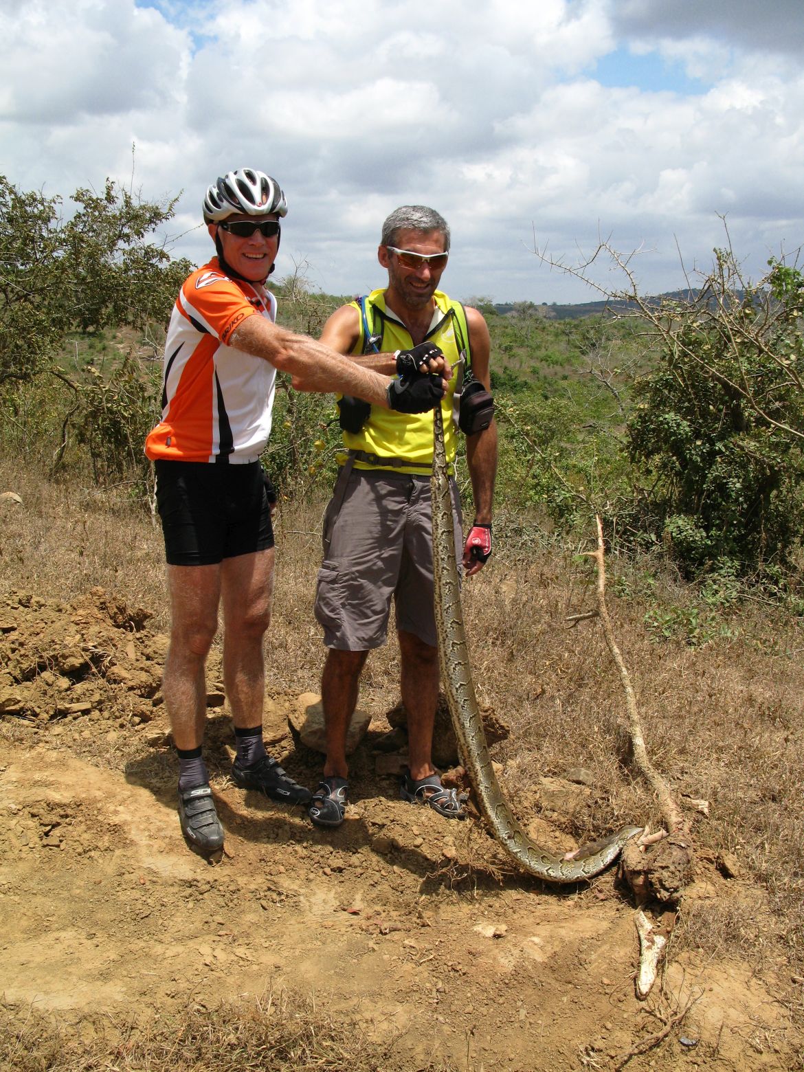 Clicca per ingrandire l'immagine