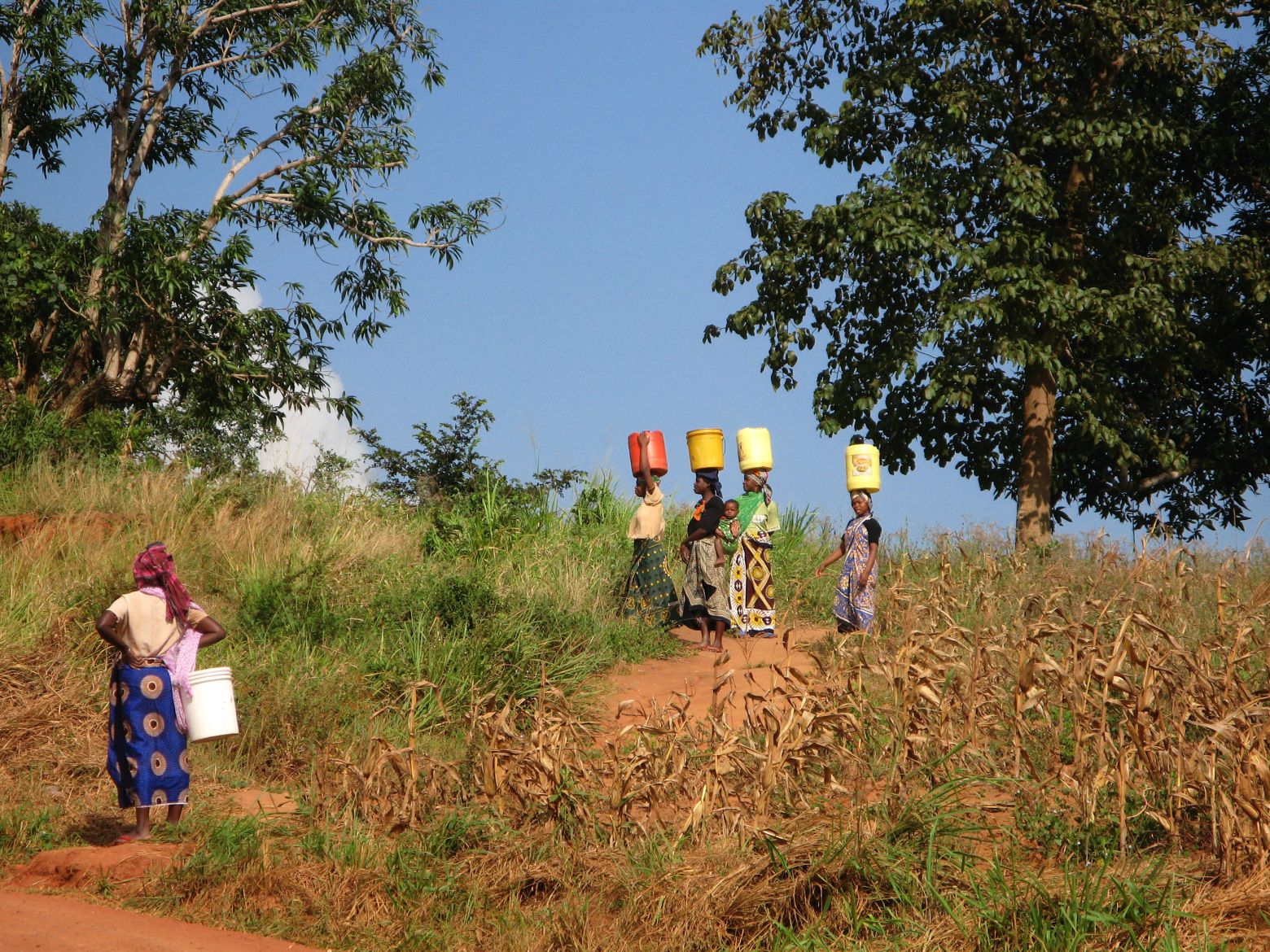 Clicca per ingrandire l'immagine