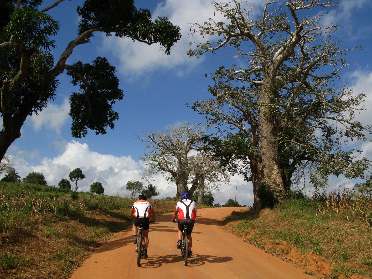 Clicca per ingrandire l'immagine