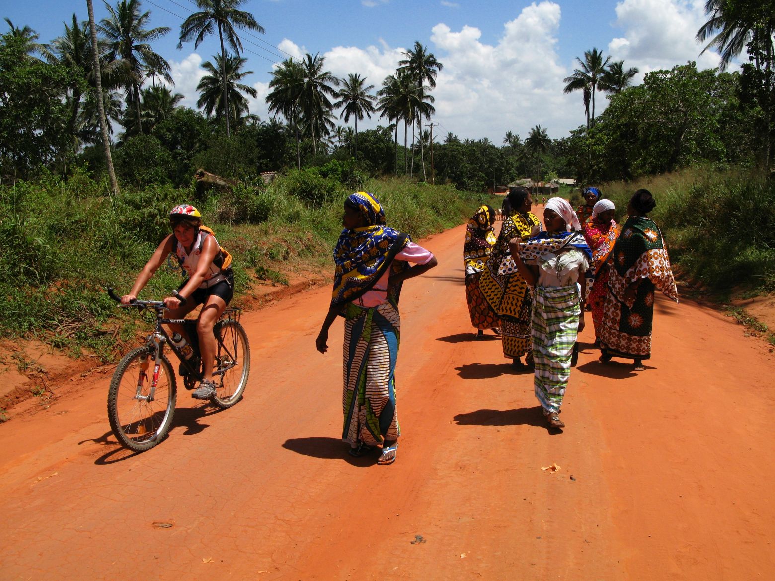 Clicca per ingrandire l'immagine