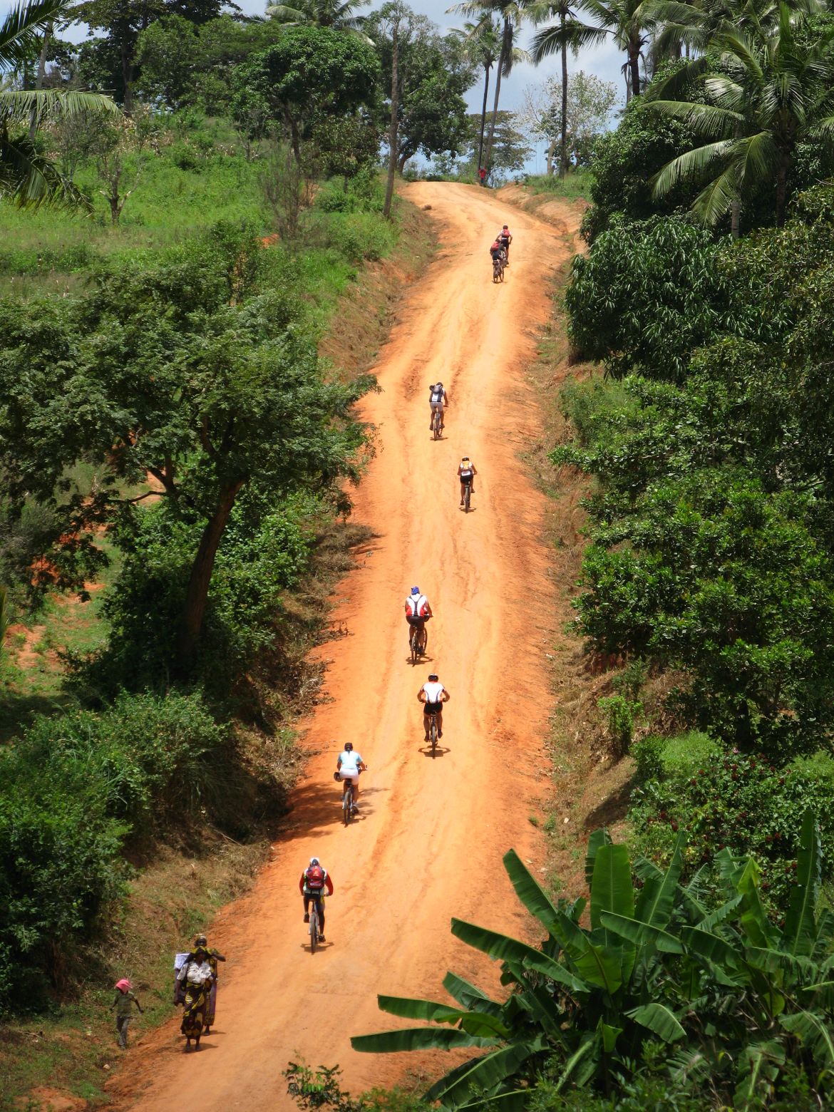 Clicca per ingrandire l'immagine