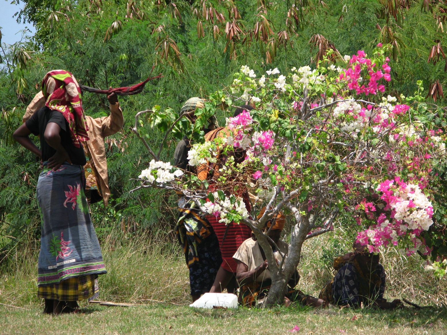 Clicca per ingrandire l'immagine