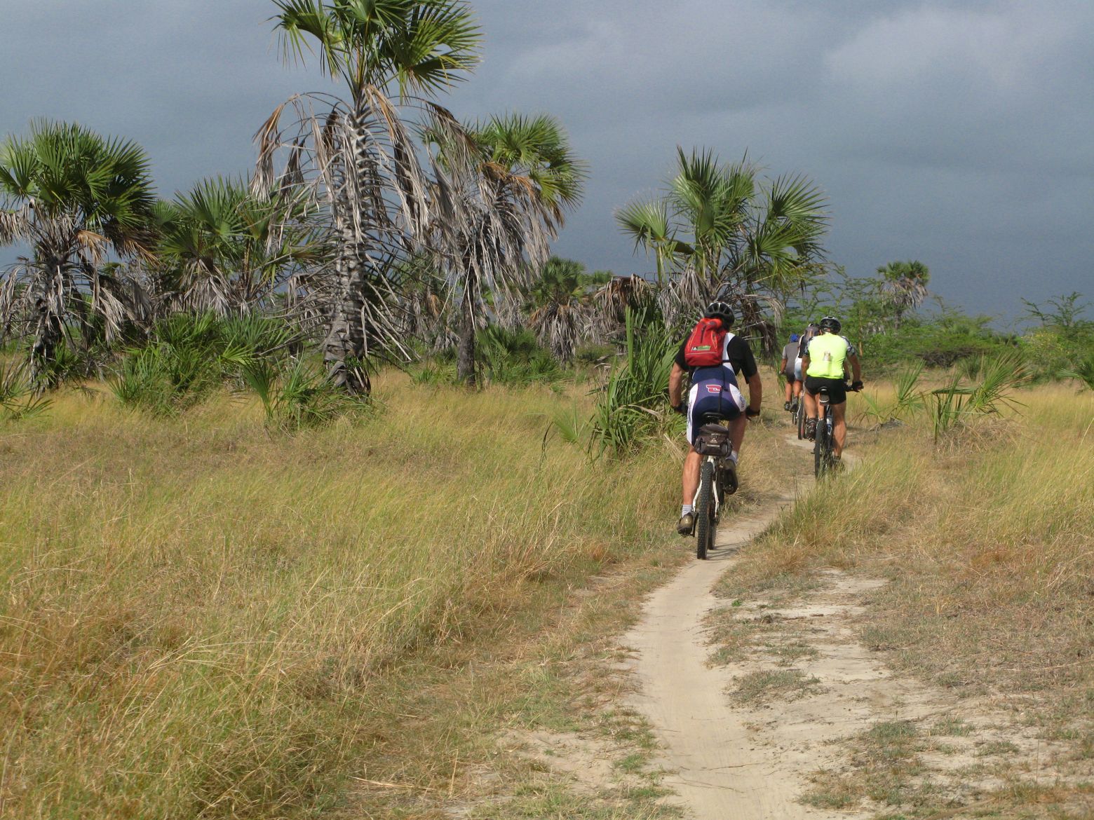 Clicca per ingrandire l'immagine