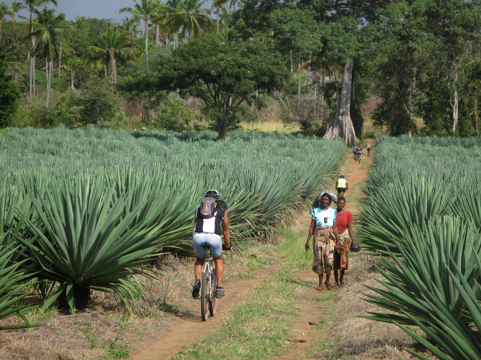 Clicca per ingrandire l'immagine