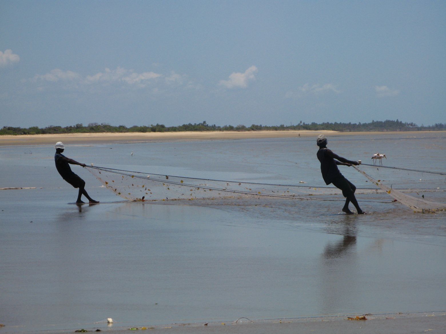 Clicca per ingrandire l'immagine