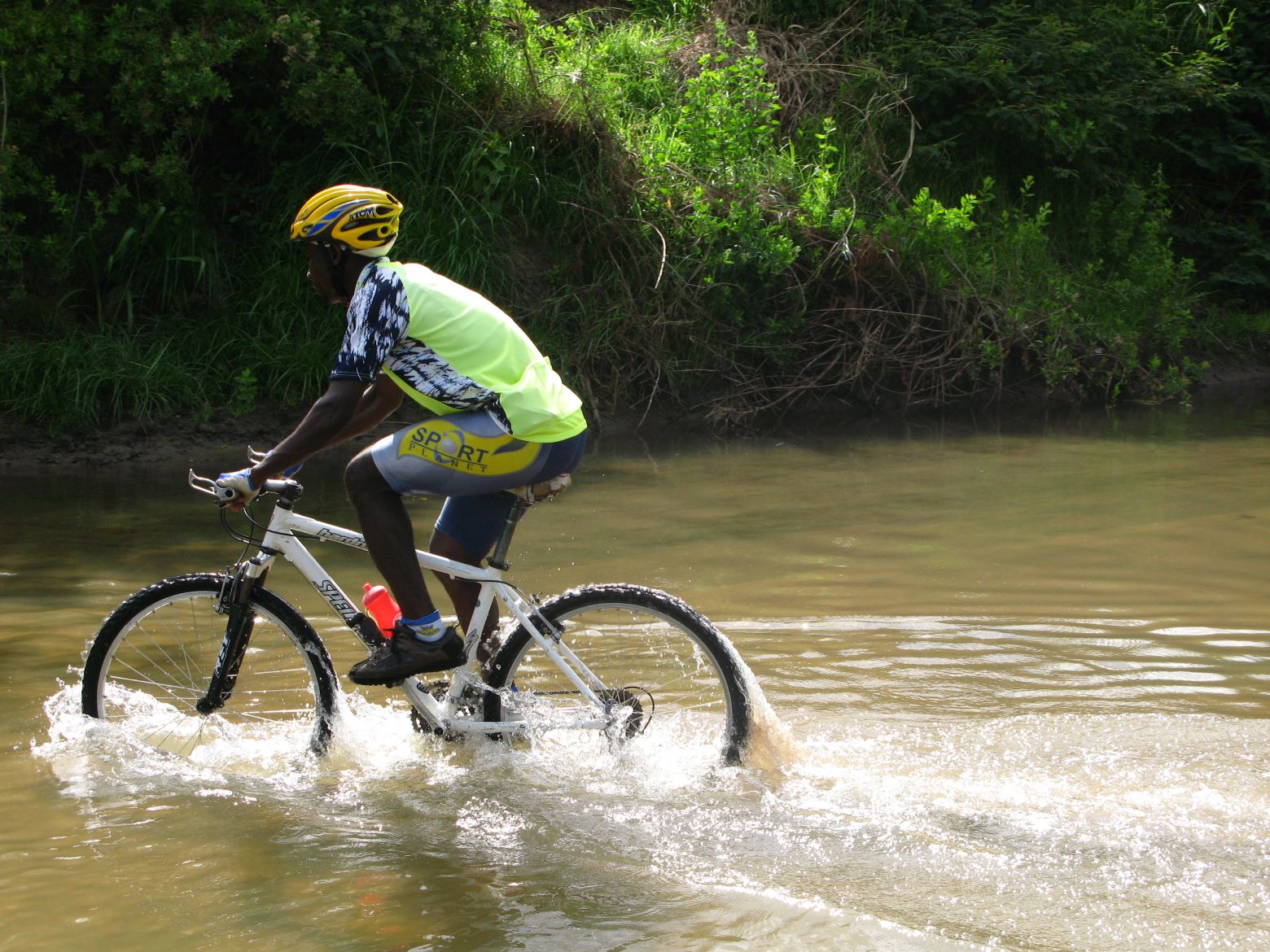 Clicca per ingrandire l'immagine