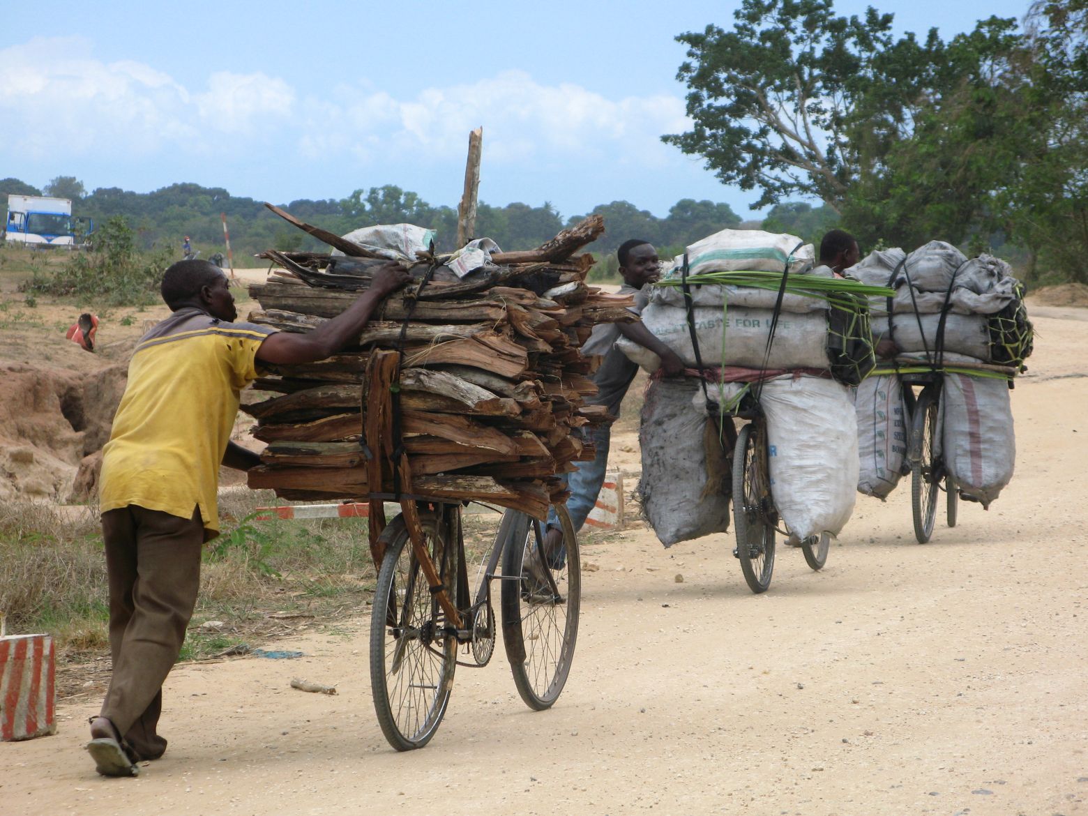 Clicca per ingrandire l'immagine