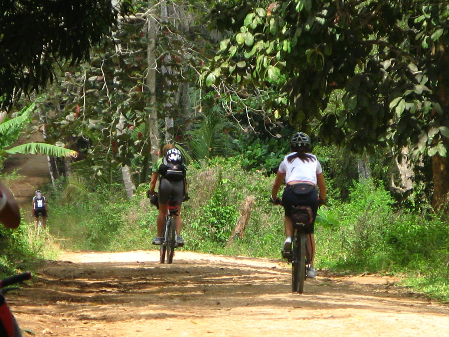 Clicca per ingrandire l'immagine