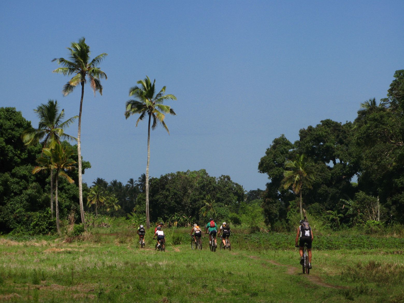 Clicca per ingrandire l'immagine