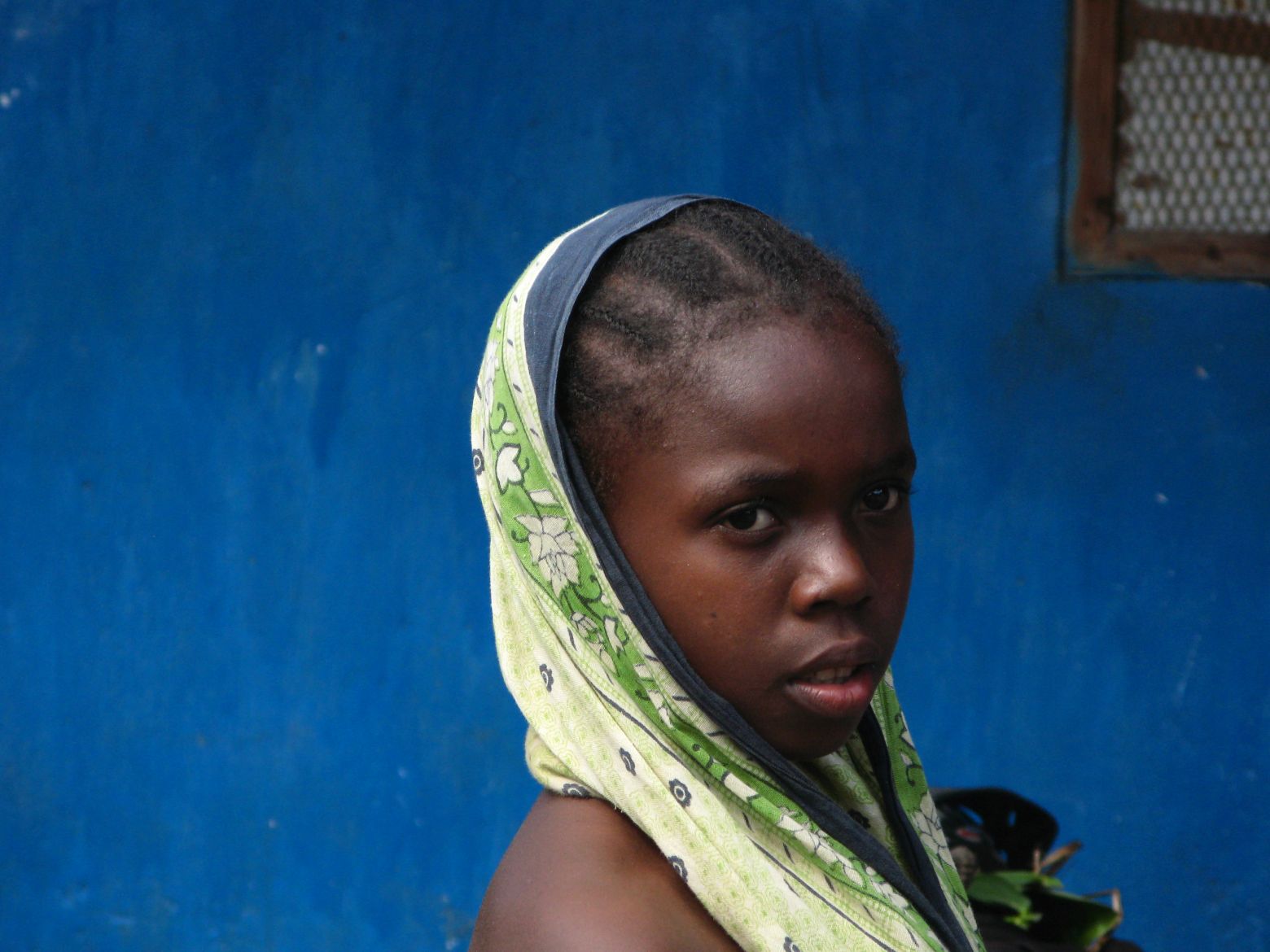 Clicca per ingrandire l'immagine