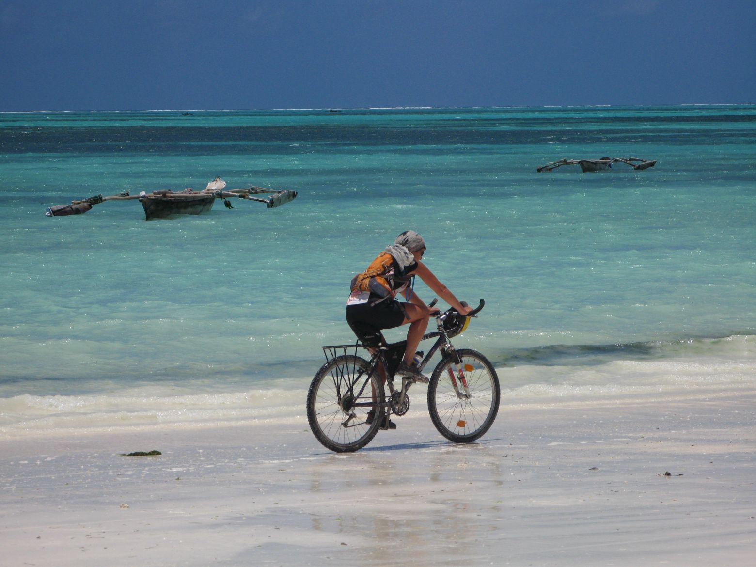 Clicca per ingrandire l'immagine