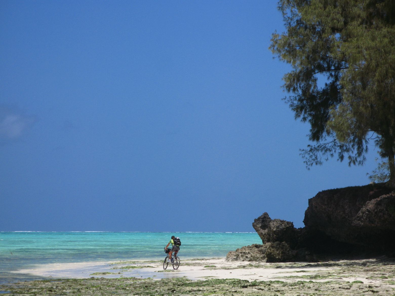 Clicca per ingrandire l'immagine