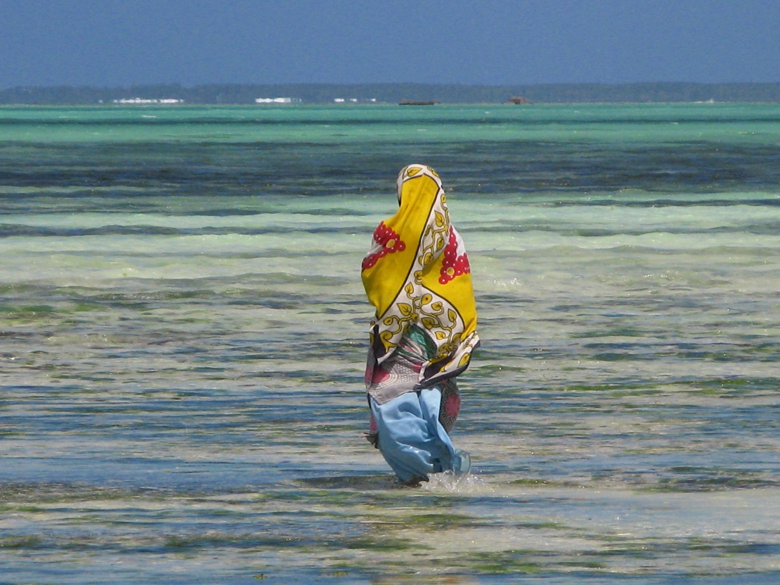 Clicca per ingrandire l'immagine